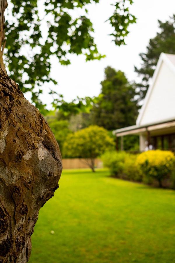 Bwhale Guest House B&B Knysna Exterior foto